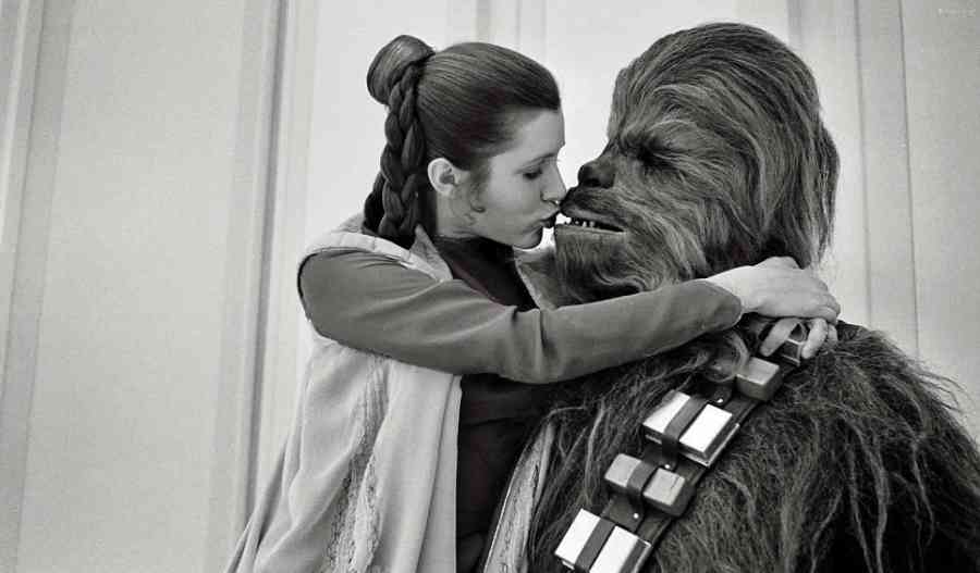 leia-and-chewie